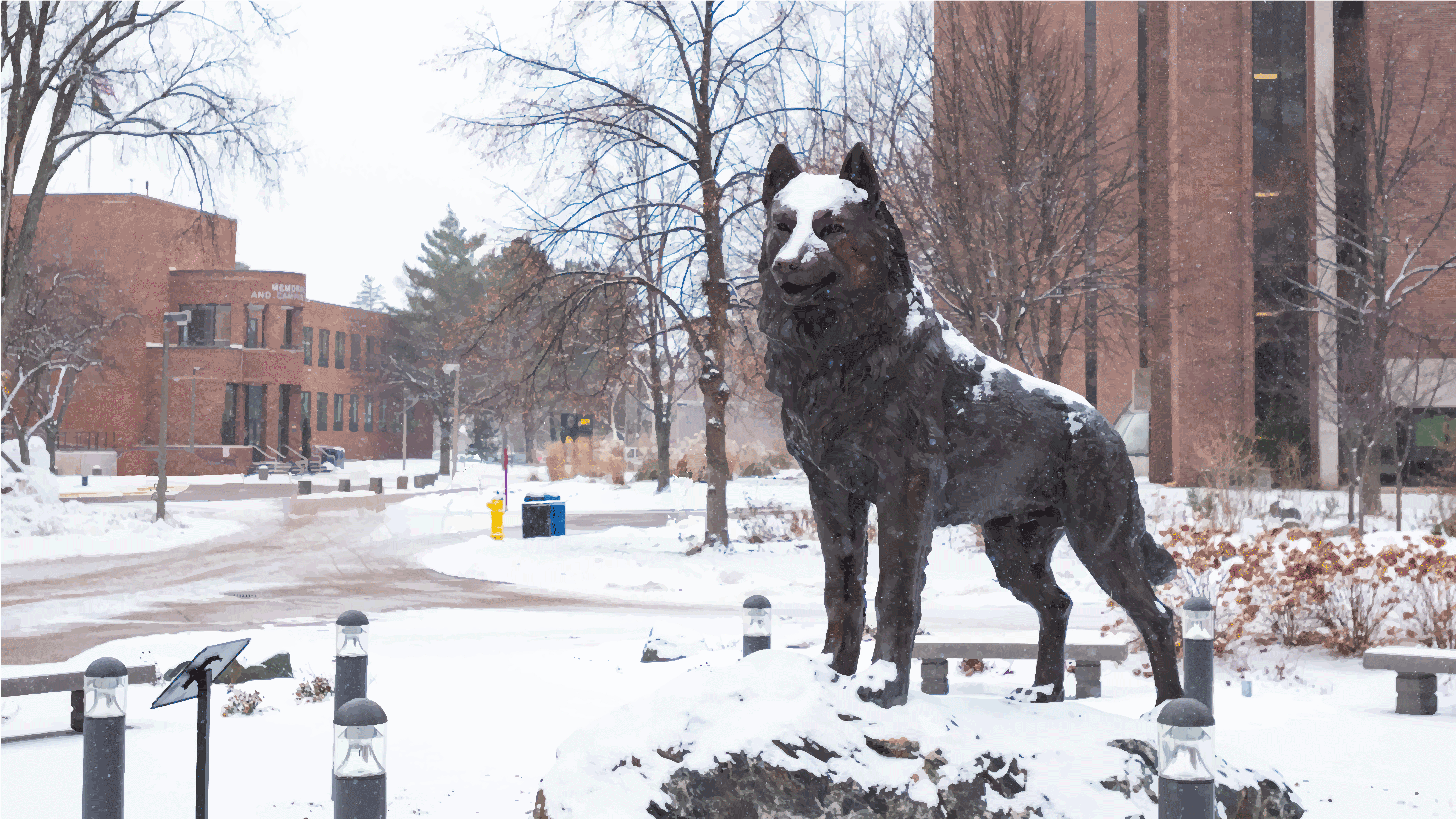 Picture of the Husky Statue on Michigan Tech's campus is animated to shake off the winter snow build up on his back.
